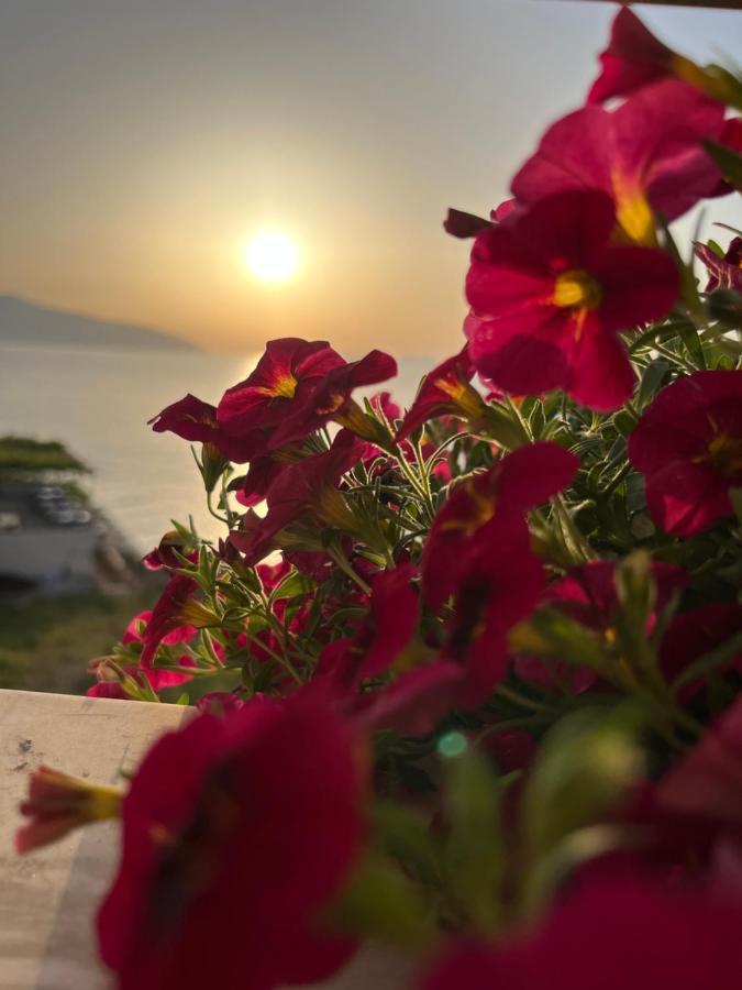 Lotus Apartments Vlorë Exteriér fotografie